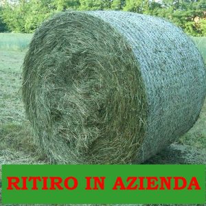 Balle di fieno 450 kg