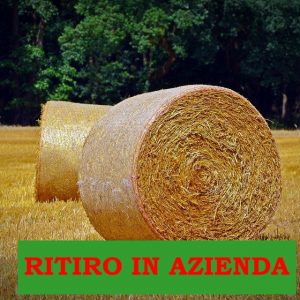 Balle di paglia   300 kg