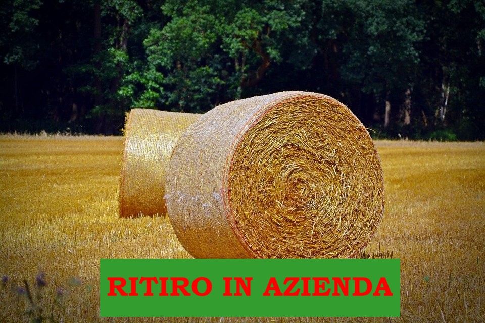 RITIRO IN AZIENDA PAGLIA